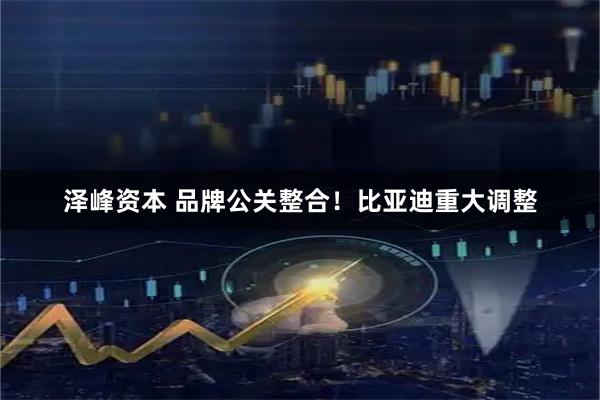 泽峰资本 品牌公关整合！比亚迪重大调整