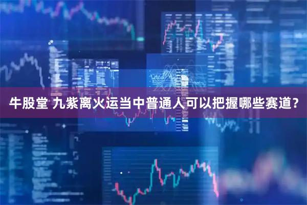 牛股堂 九紫离火运当中普通人可以把握哪些赛道？