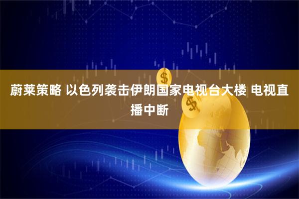 蔚莱策略 以色列袭击伊朗国家电视台大楼 电视直播中断