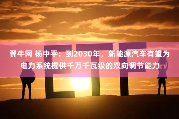 翼牛网 杨中平:到2030年,新能源汽车有望为电力系统提供千万千瓦级的双向调节能力