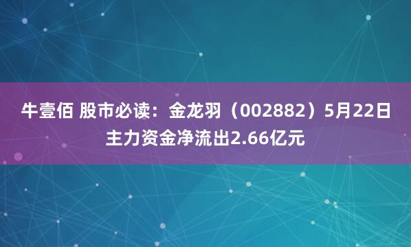 牛壹佰 股市必读：金龙羽（002882）5月22日主力资金净流出2.66亿元