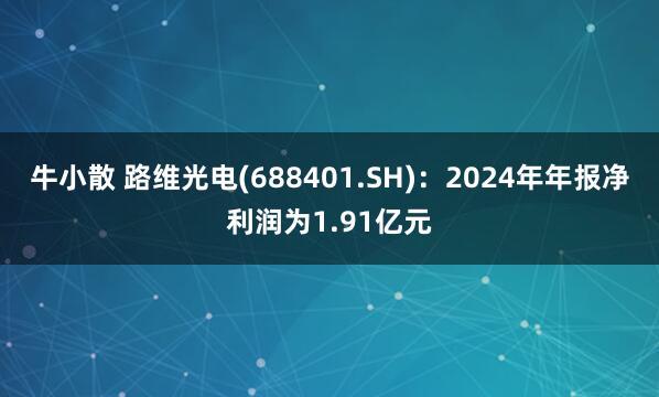 牛小散 路维光电(688401.SH)：2024年年报净利润为1.91亿元