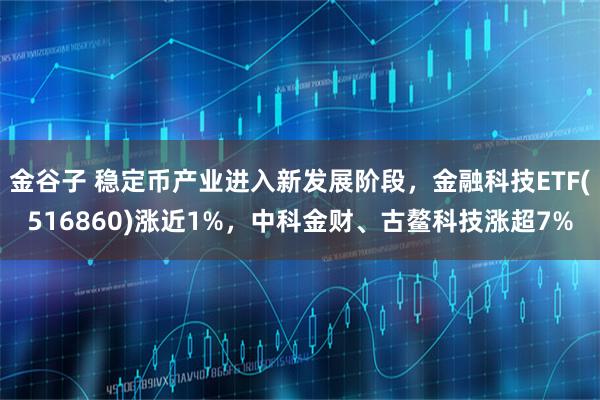 金谷子 稳定币产业进入新发展阶段，金融科技ETF(516860)涨近1%，中科金财、古鳌科技涨超7%