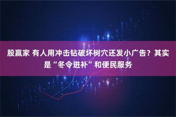 股赢家 有人用冲击钻破坏树穴还发小广告？其实是“冬令进补”和便民服务