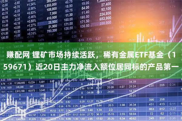 赚配网 锂矿市场持续活跃，稀有金属ETF基金（159671）近20日主力净流入额位居同标的产品第一