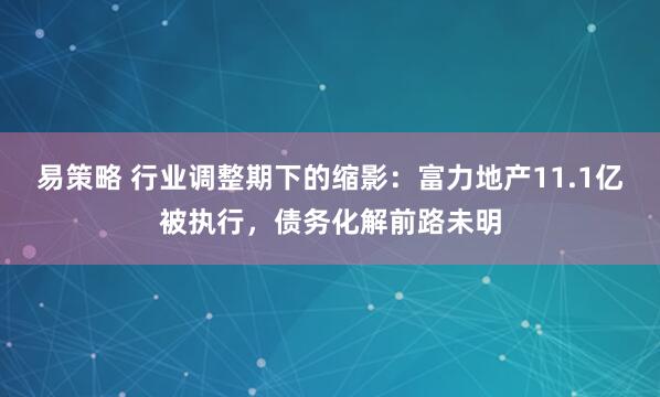 易策略 行业调整期下的缩影：富力地产11.1亿被执行，债务化解前路未明