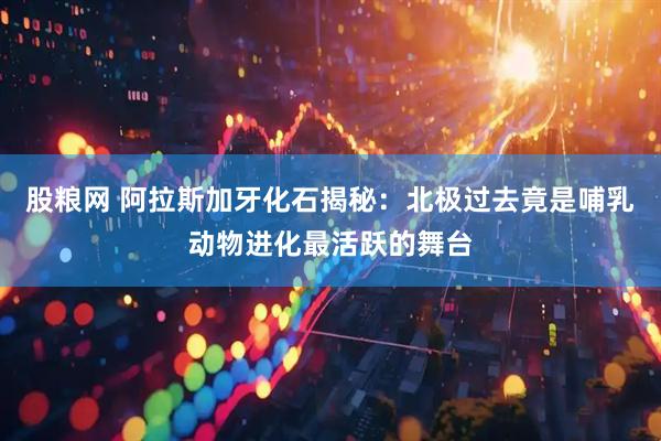 股粮网 阿拉斯加牙化石揭秘:北极过去竟是哺乳动物进化最活跃的舞台
